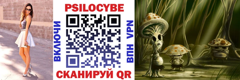 Галлюциногенные грибы прущие грибы  Купить закладки  Стародуб 